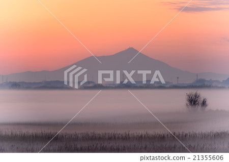 Morning of Watarase moorland Morning of Watarase moorland 21355606