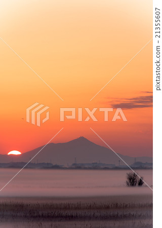 Watarase和筑波山的黎明 21355607