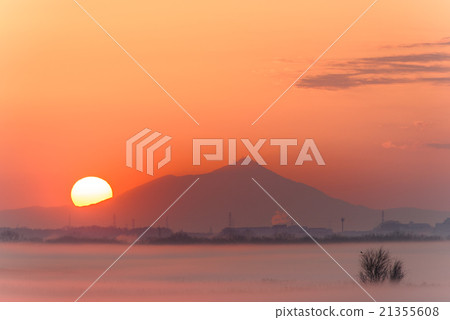 晨光草原 21355608