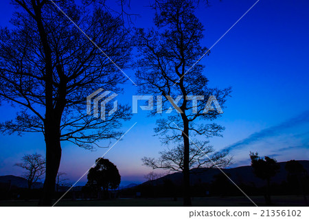 Dawn of athletic park Silhouette of trees Dawn of athletic park Silhouette of trees 21356102