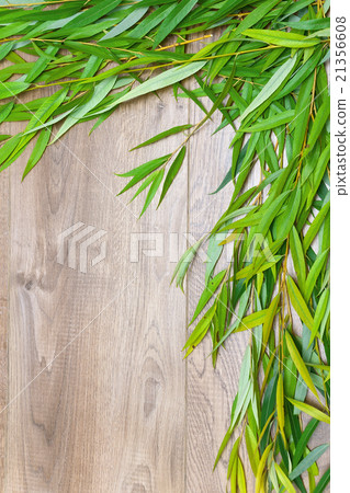 willow branch on a wooden background willow branch on a wooden background 21356608