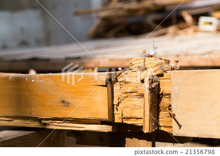 Floorboard foundation laying house demolition trader semi-destructive building to destroy houses dismantling work wood waste material disrupting Japanese architecture 21356798