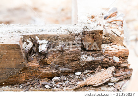 Removal, house, foundation, house, building, rebuilding, new construction, flooring, construction site, wall dirt, demolition work, house demolition, house destruction 21356827