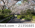Sakurado 21356885