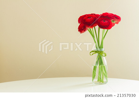 red ranunculus flowers 21357030
