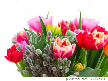 bouquet of pink, purple and red tulips bouquet of pink, purple and red tulips 21357351