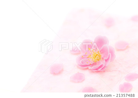 梅花的瓣在日本紙上的 21357488