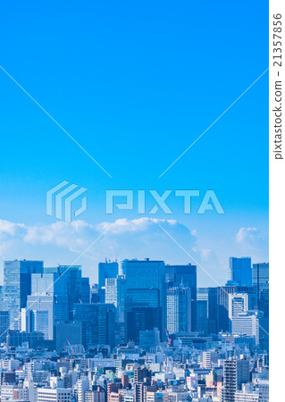 Tokyo · Business area and landscape of residential area 21357856