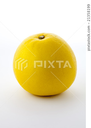 Tosa Fumiya垂直位置中心 Tosa Fumiya垂直位置中心 21358199