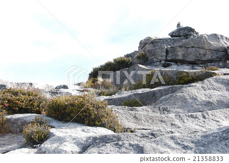 Near the summit of Mt. Kinabalu (Sabah / East Malaysia / Borneo Island) 21358833