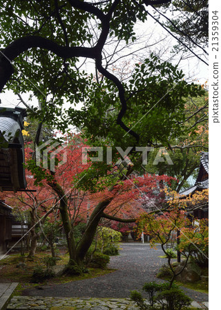 Akayama Zen-in Akayama Zen-in 21359304