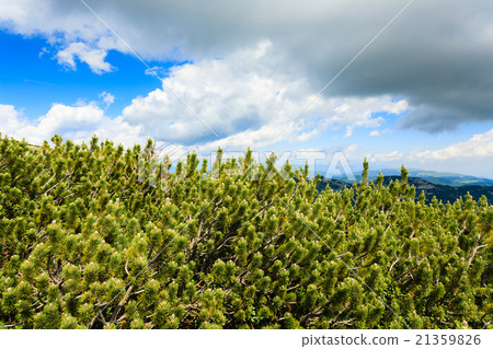 Mountain panorama, Italy Mountain panorama, Italy 21359826