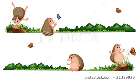 Hedgehogs having fun in the field Hedgehogs having fun in the field 21359939