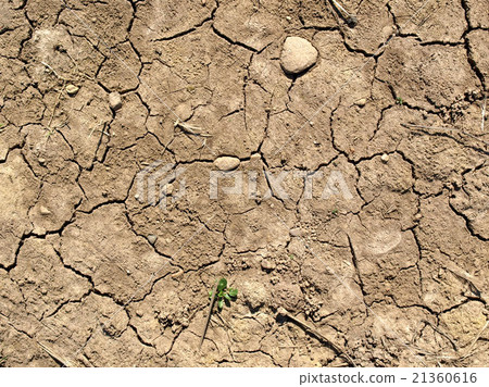 Dry earth Dry earth 21360616