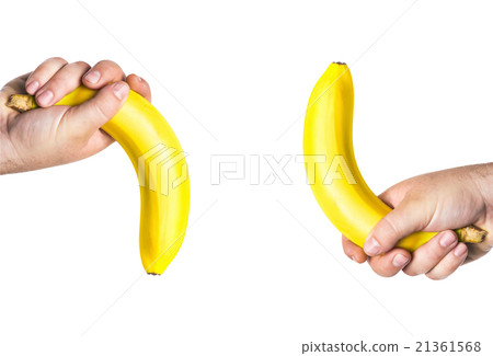 concept of potency, penis 21361568