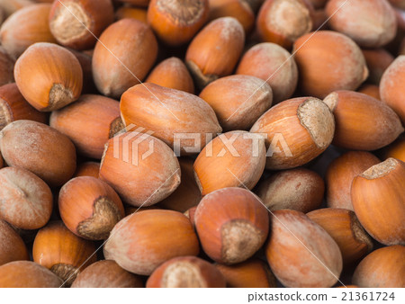 hazelnut 21361724
