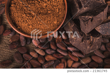 Raw cocoa beans Raw cocoa beans 21361745