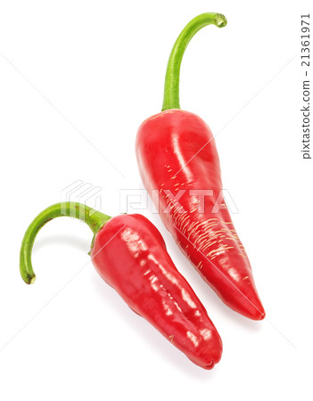 red hot chilli peppers 21361971