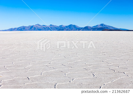 Salar de Uyuni 21362687