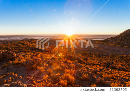 Altiplano sunrise, Bolivia 21362705