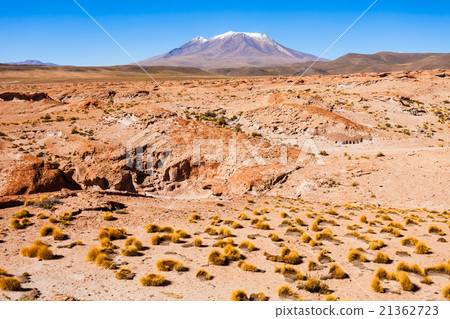 Ollague volcano 21362723