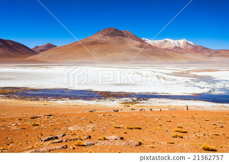 Lake, Bolivia Altiplano Lake, Bolivia Altiplano 21362757