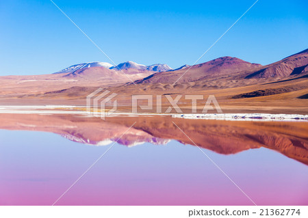 Laguna Colorada lake 21362774