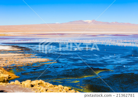 Laguna Colorada lake 21362781