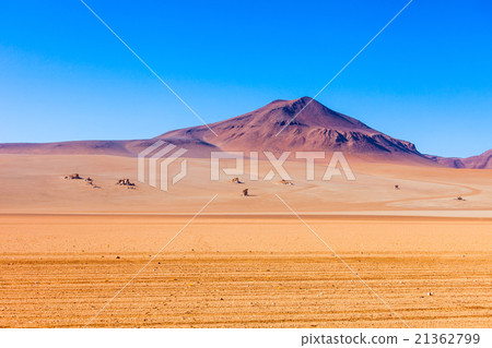 Salvador Dali Desert 21362799