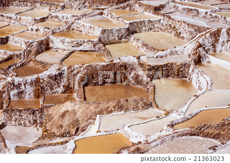 Salinas de Maras Salinas de Maras 21363023