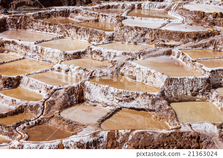 Salinas de Maras Salinas de Maras 21363024