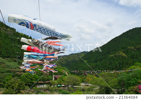 Carp streamer Carp streamer 21364084