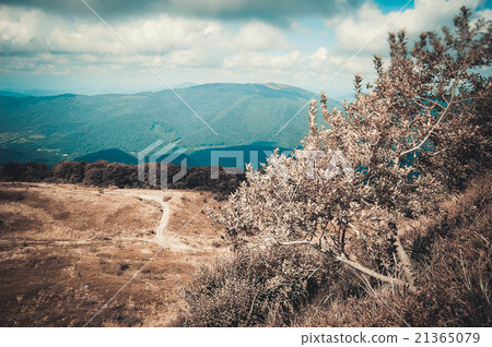 Mountain View Carpathians Mountain View Carpathians 21365079