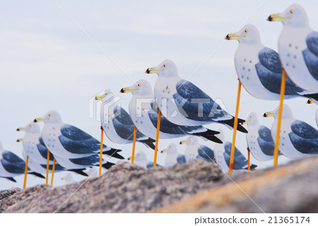 海鷗停車場 21365174