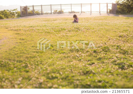 In white clover ♪ 21365571