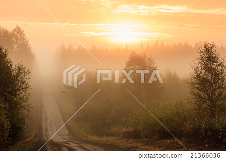 Dirt road and thick fog sunrise Dirt road and thick fog sunrise 21366036