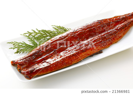 烤鰻魚 21366981