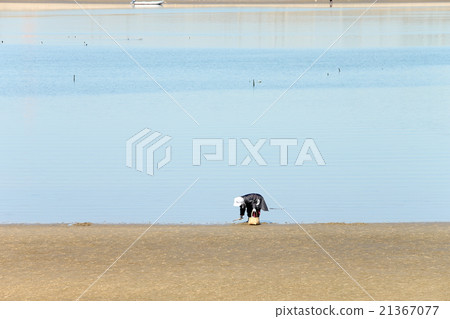 Clamming Clamming 21367077