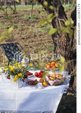 Farmhouse's outdoor breakfast landscape Farmhouse's outdoor breakfast landscape 21367179