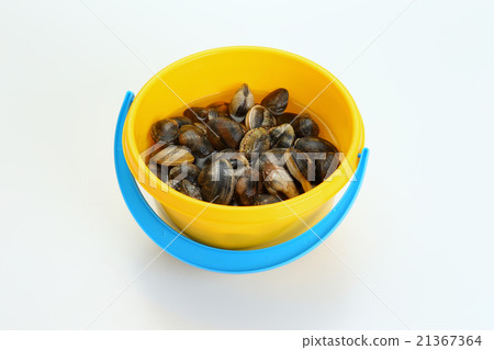 翻蓋圖像 21367364