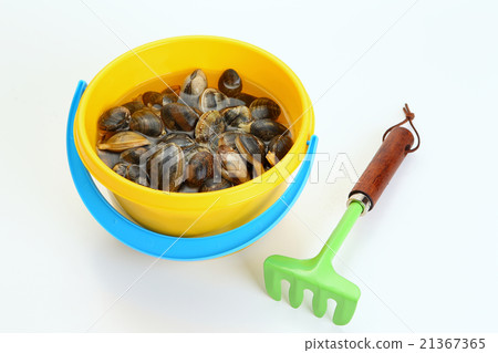 翻蓋圖像 翻蓋圖像 21367365