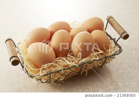 egg egg 21369305