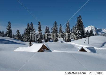 Snow covered huts and trees in Toggenburg 21369805