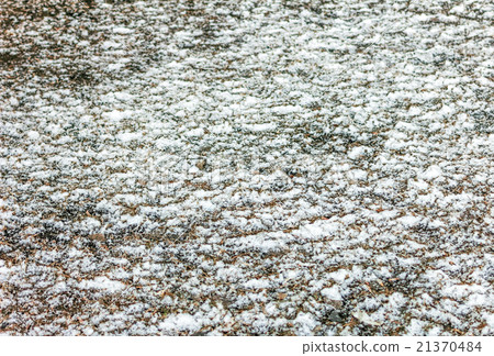 First snow on ground First snow on ground 21370484