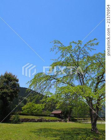 Ichijodani Asakura Clan Ruins 21370954