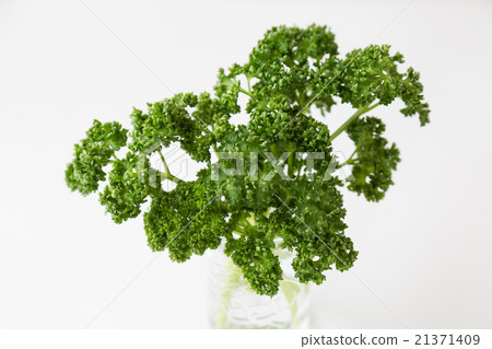Parsley 21371409