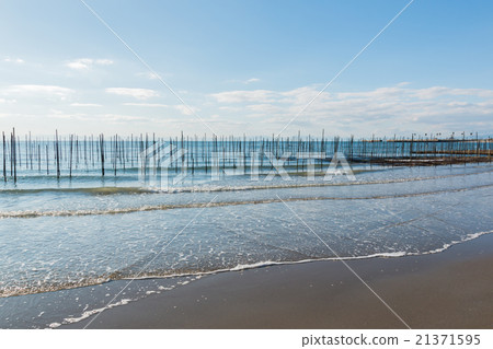Landscape of sea with wooden poles. Landscape of sea with wooden poles. 21371595