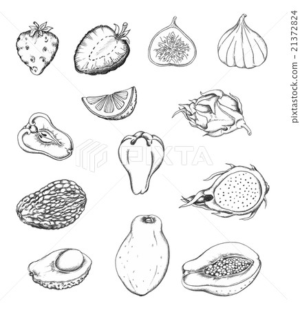 Pencil drawn fruits Pencil drawn fruits 21372824