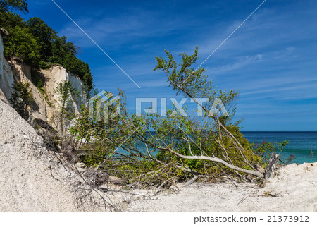 Chalk cliffs 21373912