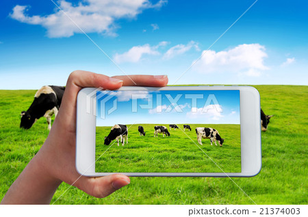 Hand holding smart phone. Hand holding smart phone. 21374003